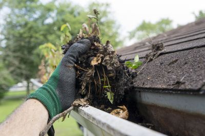 Clean Gutters on a Residential Home